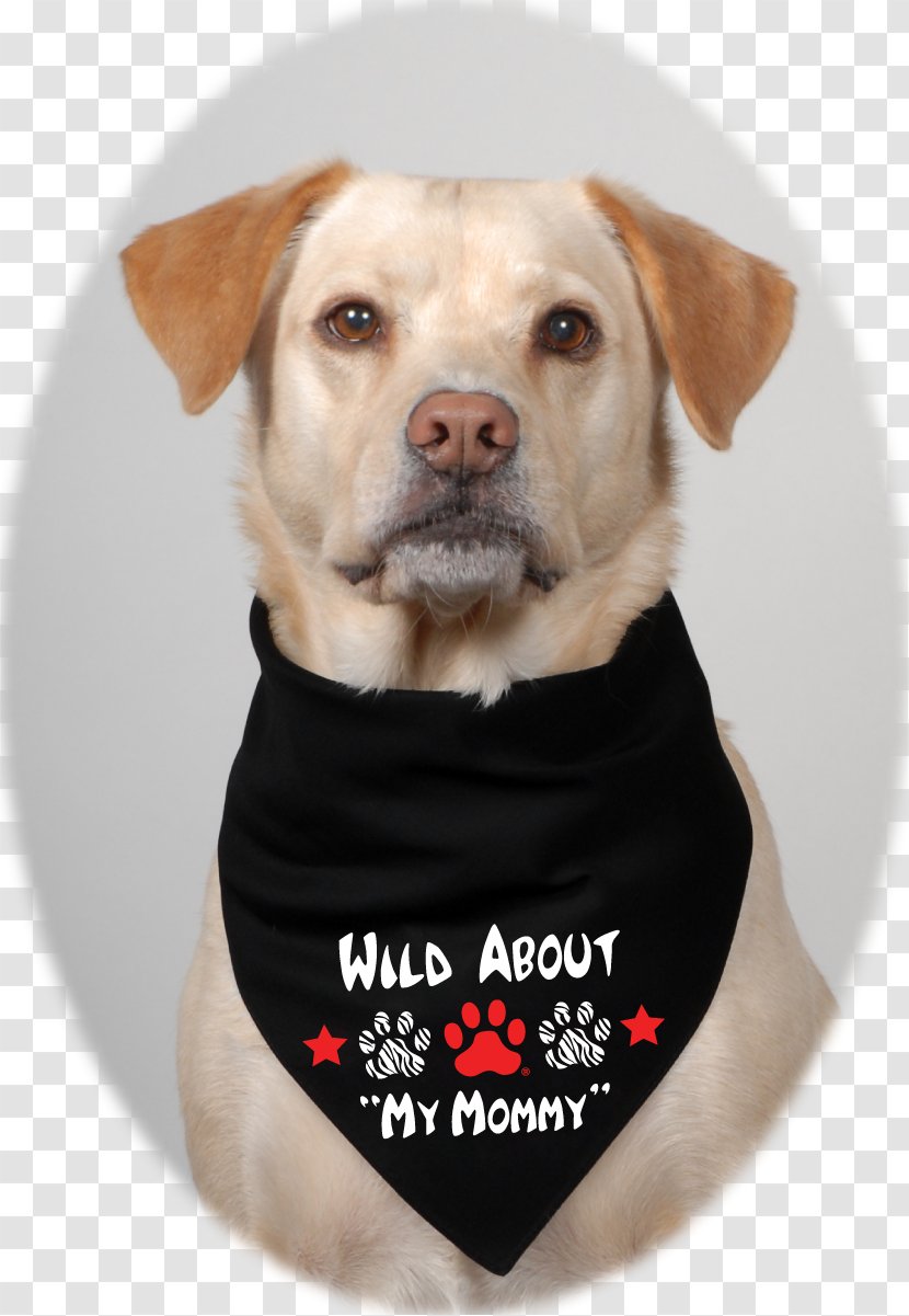 Labrador Retriever Horse Breed Dog Puppy - Sporting Group Transparent PNG