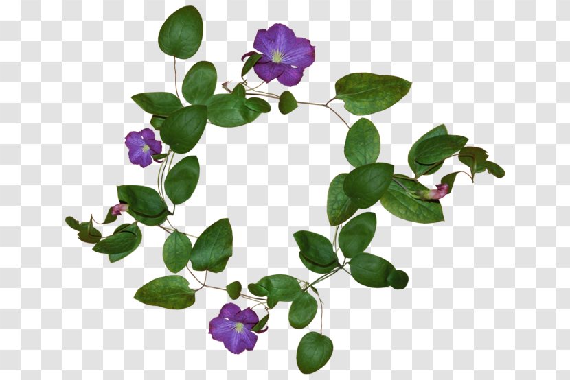 Pansy Violet Flower Thought Plants - 2018 - Design Transparent PNG