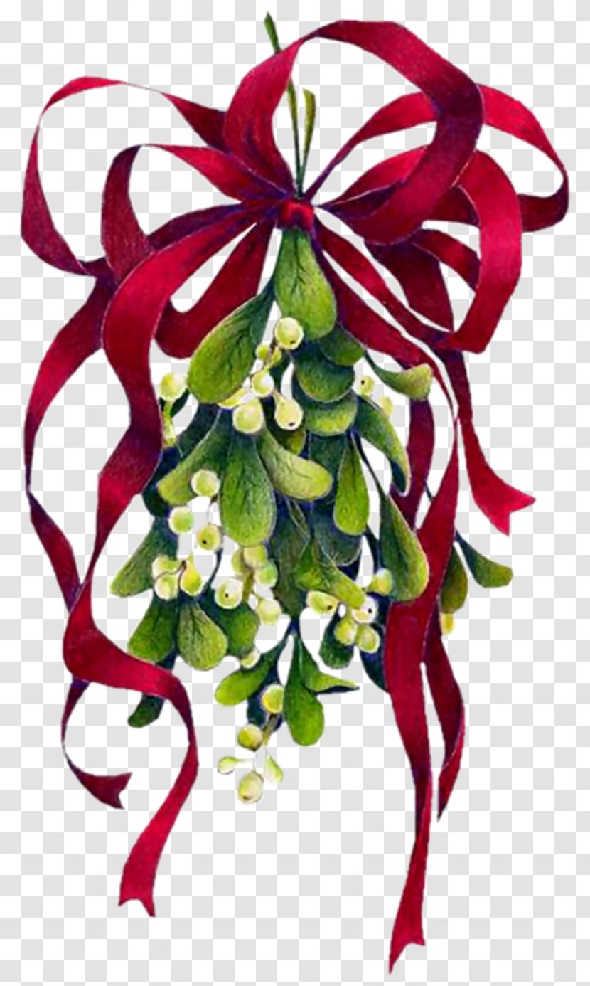 Mistletoe Christmas Clip Art - Floristry Transparent PNG