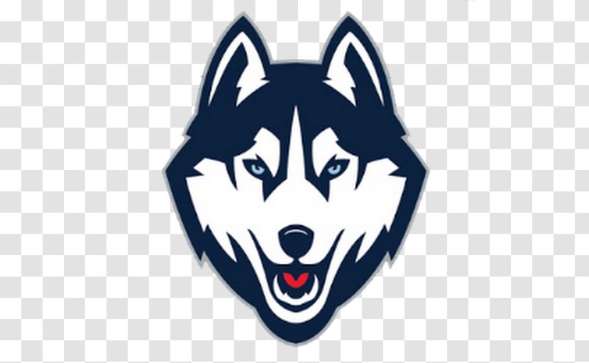 University Of Connecticut Huskies Men's Basketball Women's Ice Hockey NCAA Division I Tournament - East Transparent PNG