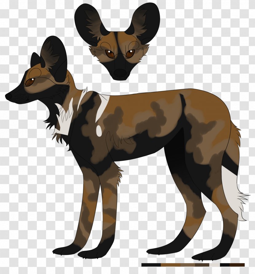 Canidae Dog Mammal Fur Fauna Transparent PNG