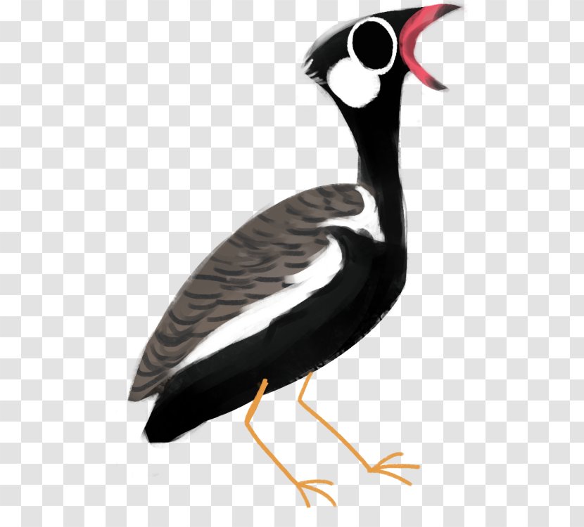 Goose Wader Cygnini Duck Water Bird - Wing - Demoiselle Crane Transparent PNG
