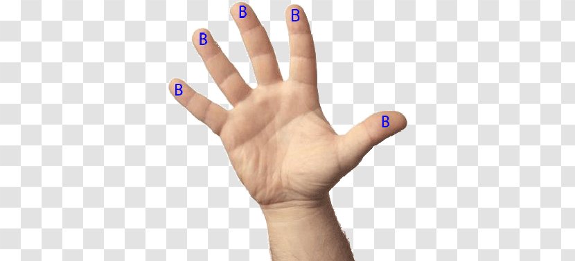 Digit Hand Little Finger Transparent PNG