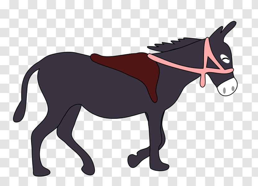 Mule Donkey Free Content Clip Art - Mammal - Cliparts Transparent PNG