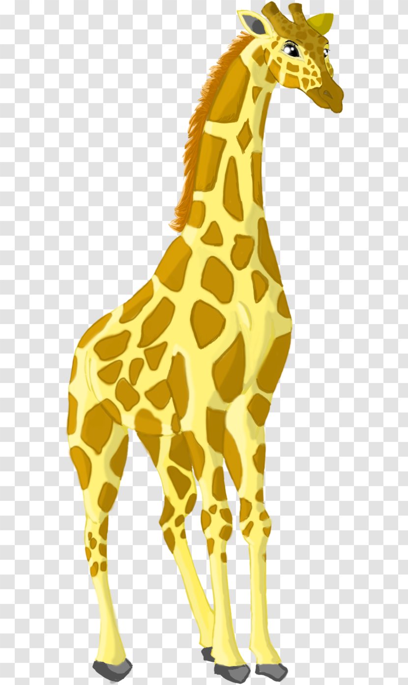 Giraffe Neck Terrestrial Animal Wildlife - Organism Transparent PNG