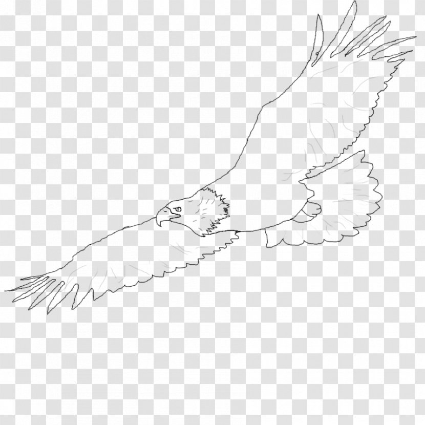 Drawing Clip Art - Silhouette - Eagle Transparent PNG