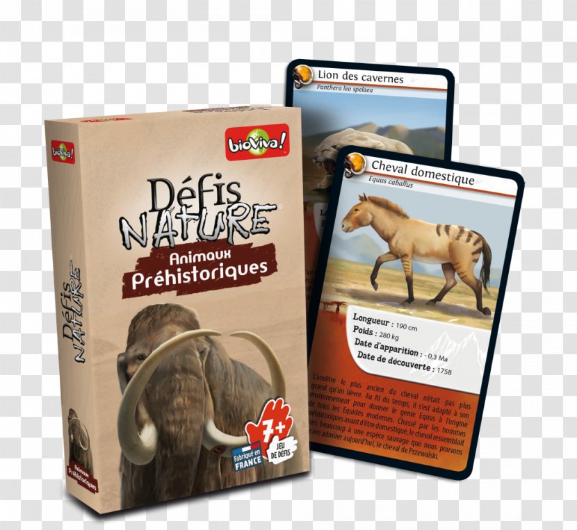 Prehistory Bioviva Défis Nature Le Grand Jeu Game Animal - Snout - Woolly Mammoth Transparent PNG