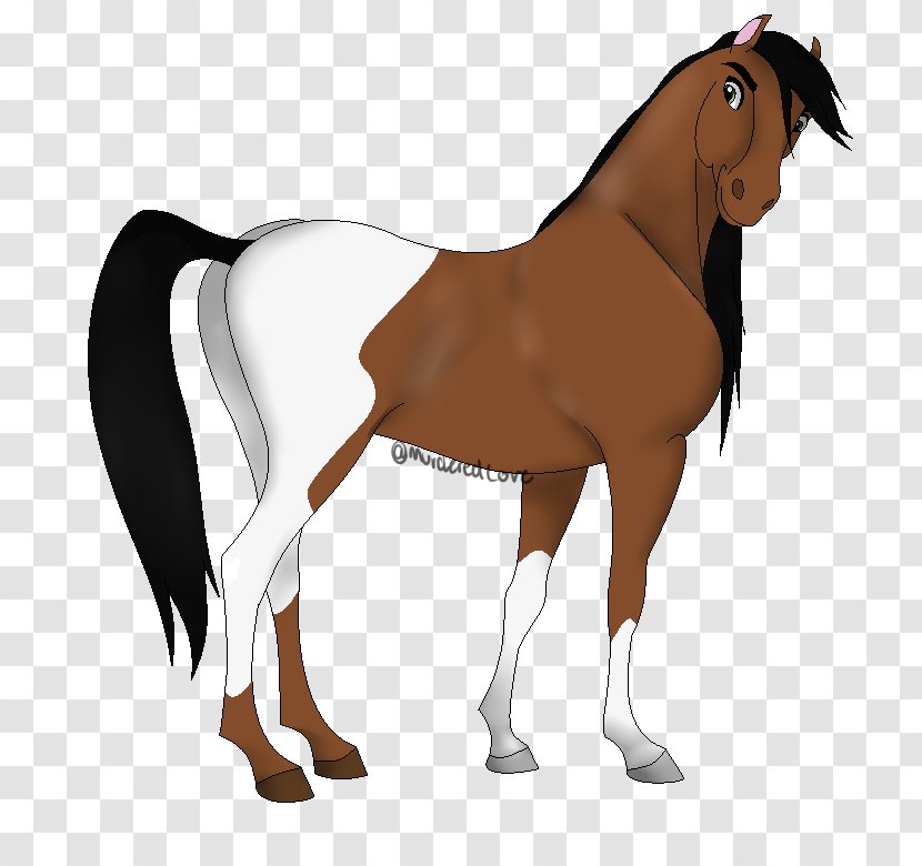 Mustang Stallion Foal Colt Pony - Horse Like Mammal - Comet Transparent PNG