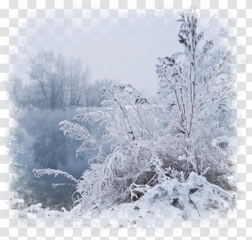 Winter Fog Desktop Wallpaper - Display Resolution - Scene Transparent PNG