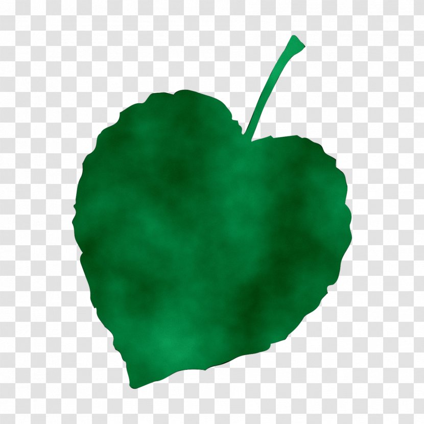 Leaf Heart - Apple - Logo Transparent PNG