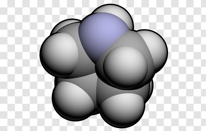 Pyrrolidine Piracetam 2-Pyrrolidone Chemistry Molecule - Organic Compound - Alkaloid Transparent PNG