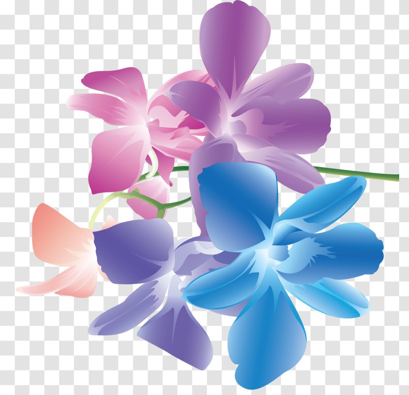 Flower Graphic Design - Petal Transparent PNG