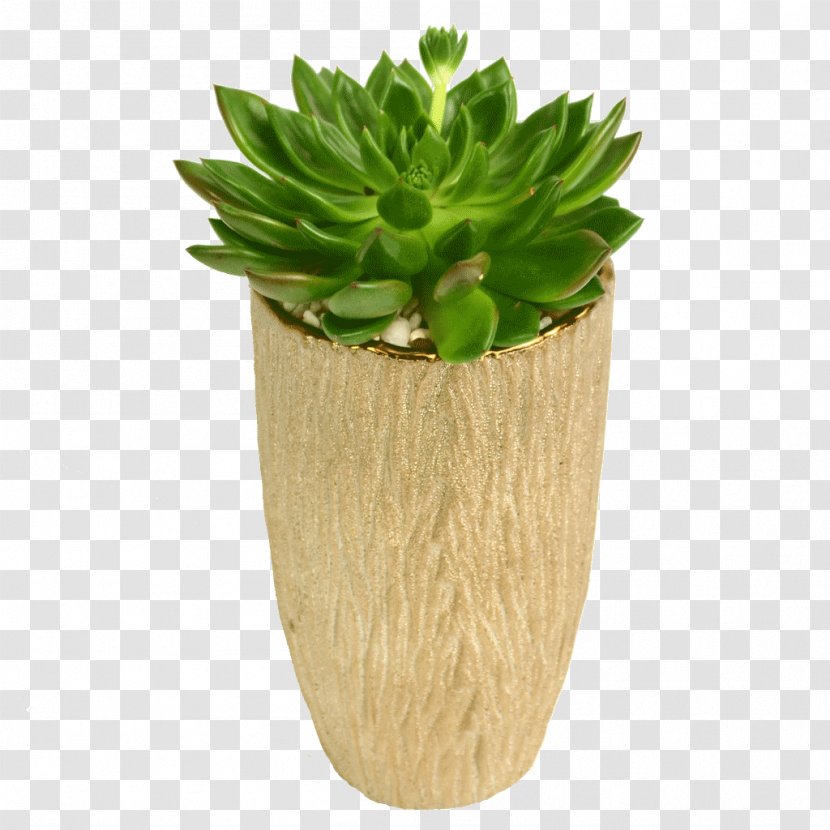 Flowerpot Vase Plant - Succulent Transparent PNG