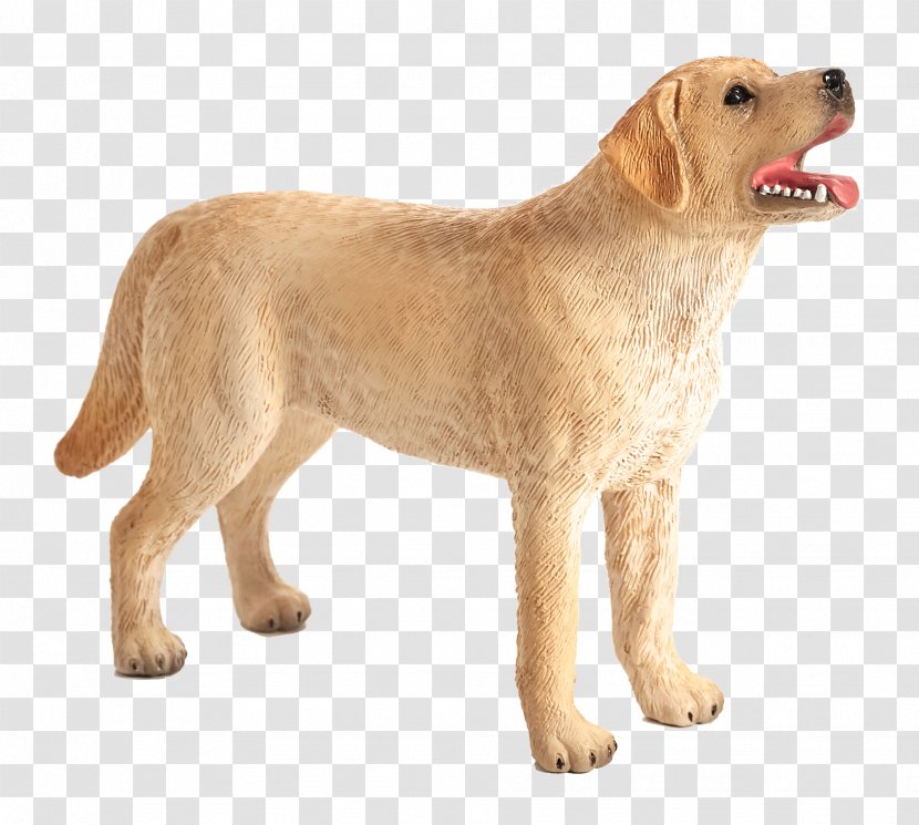 Golden Retriever Labrador Dog Breed Companion Jack Russell Terrier - Mammal Transparent PNG