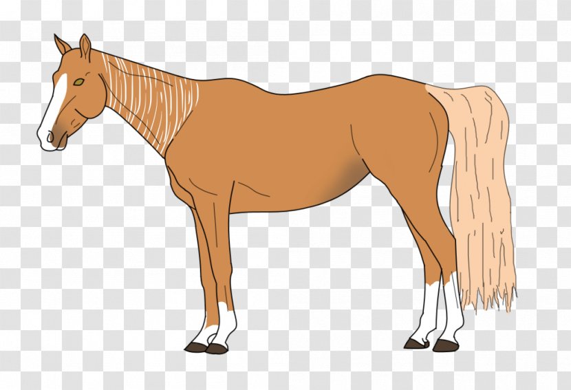 Mule Foal Stallion Mare Colt - Neck - Canter And Gallop Transparent PNG