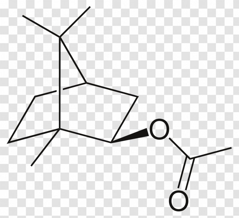 Borneol Camphorsulfonic Acid Acetate Camphoric - Isobutyl Transparent PNG