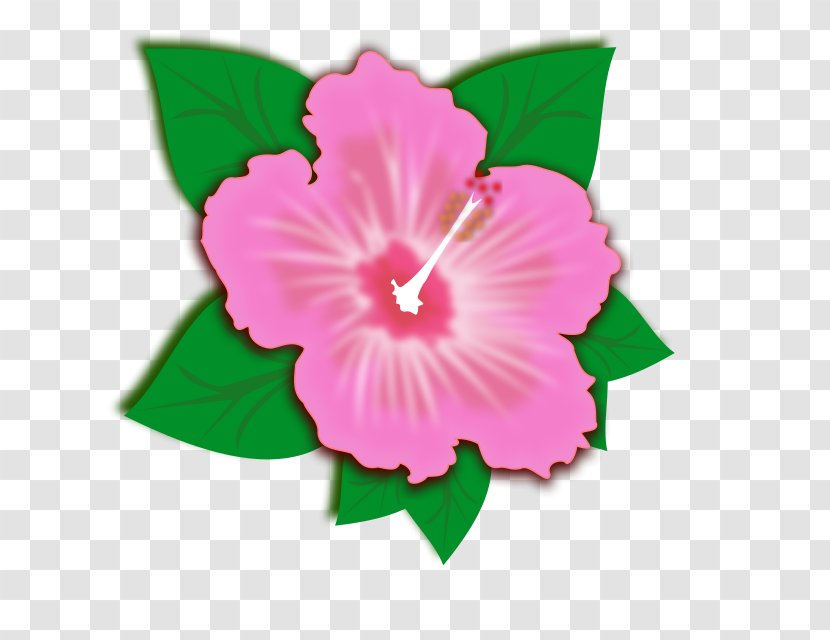Clip Art Vector Graphics Openclipart Shoeblackplant Flower - Pink Flowers Transparent PNG