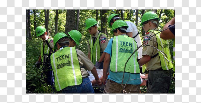 Tree Forest Profession - Education Postcard Transparent PNG