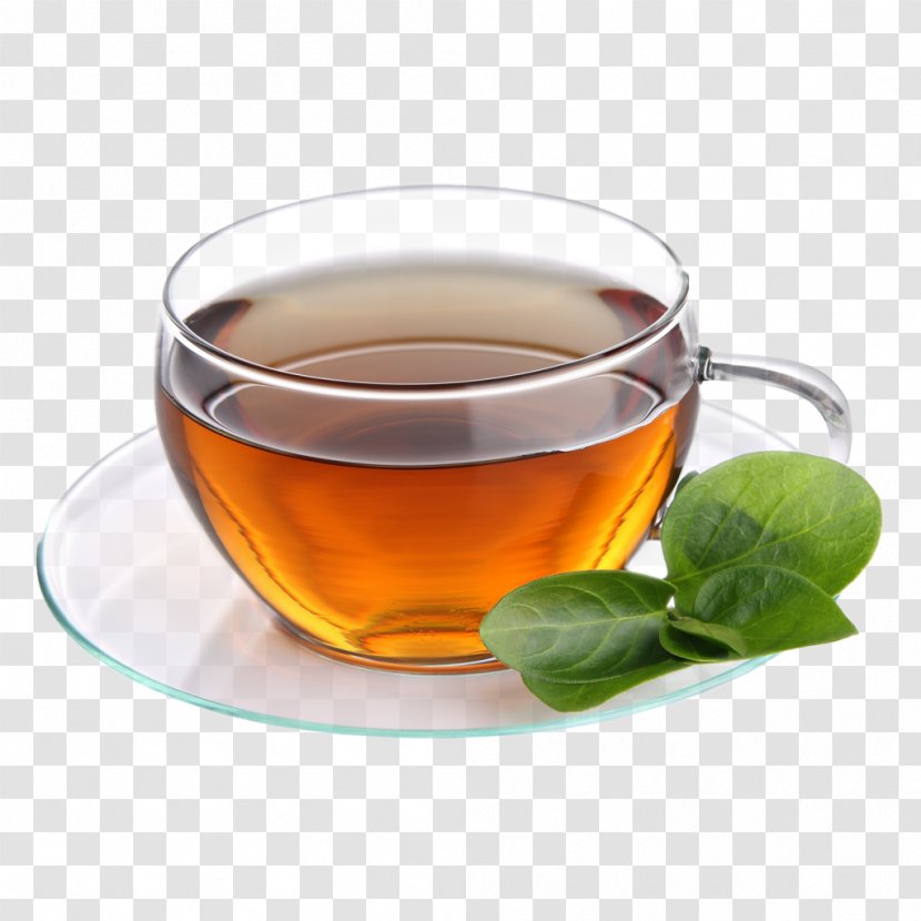 Green Tea James Gang Pizzeria Coffee Assam - Cup Transparent PNG