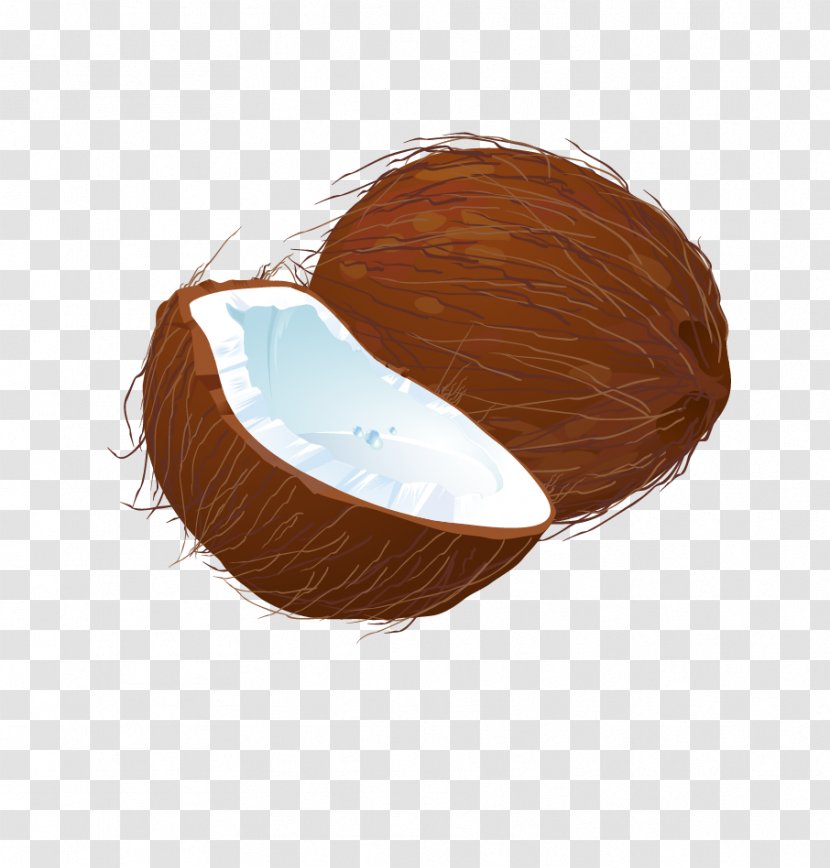 Coconut Euclidean Vector Download - Plot Transparent PNG