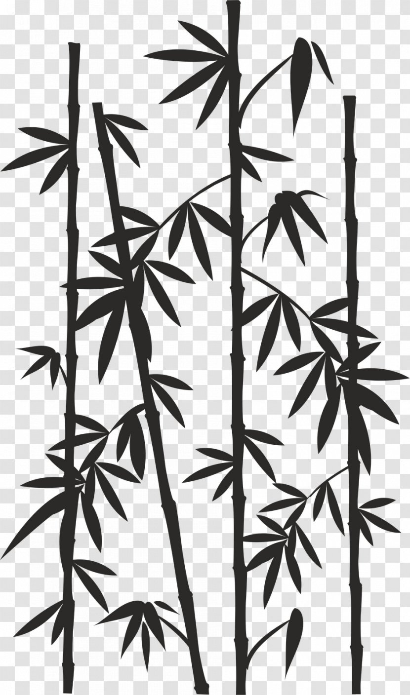 Bamboo Image Drawing Reed Silhouette - Leaf Transparent PNG