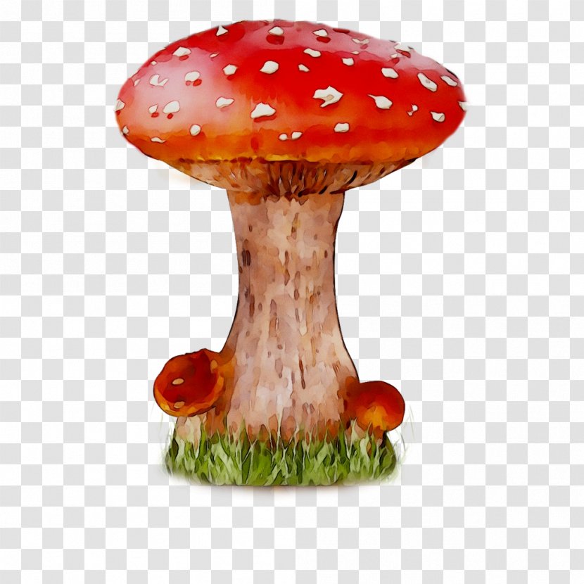 Clip Art Transparency Image Desktop Wallpaper - Agaricaceae - Medicinal Mushroom Transparent PNG