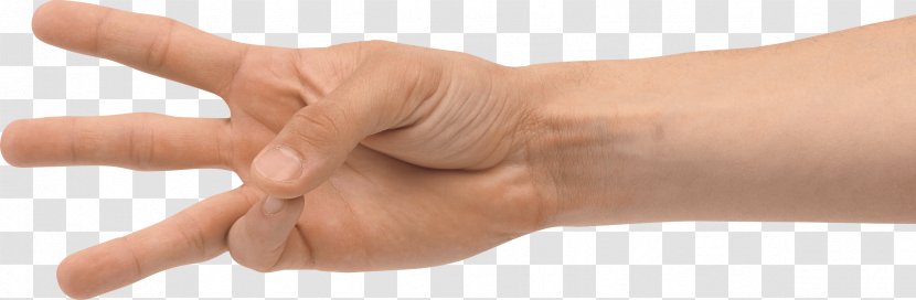 Hand Thumb PhotoScape - Homo Sapiens - Hands Image Transparent PNG