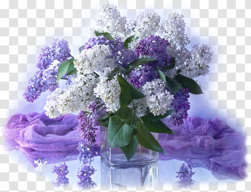 Lilac Flower Bouquet Blume Ornamental Plant - Garden - Siren Transparent PNG