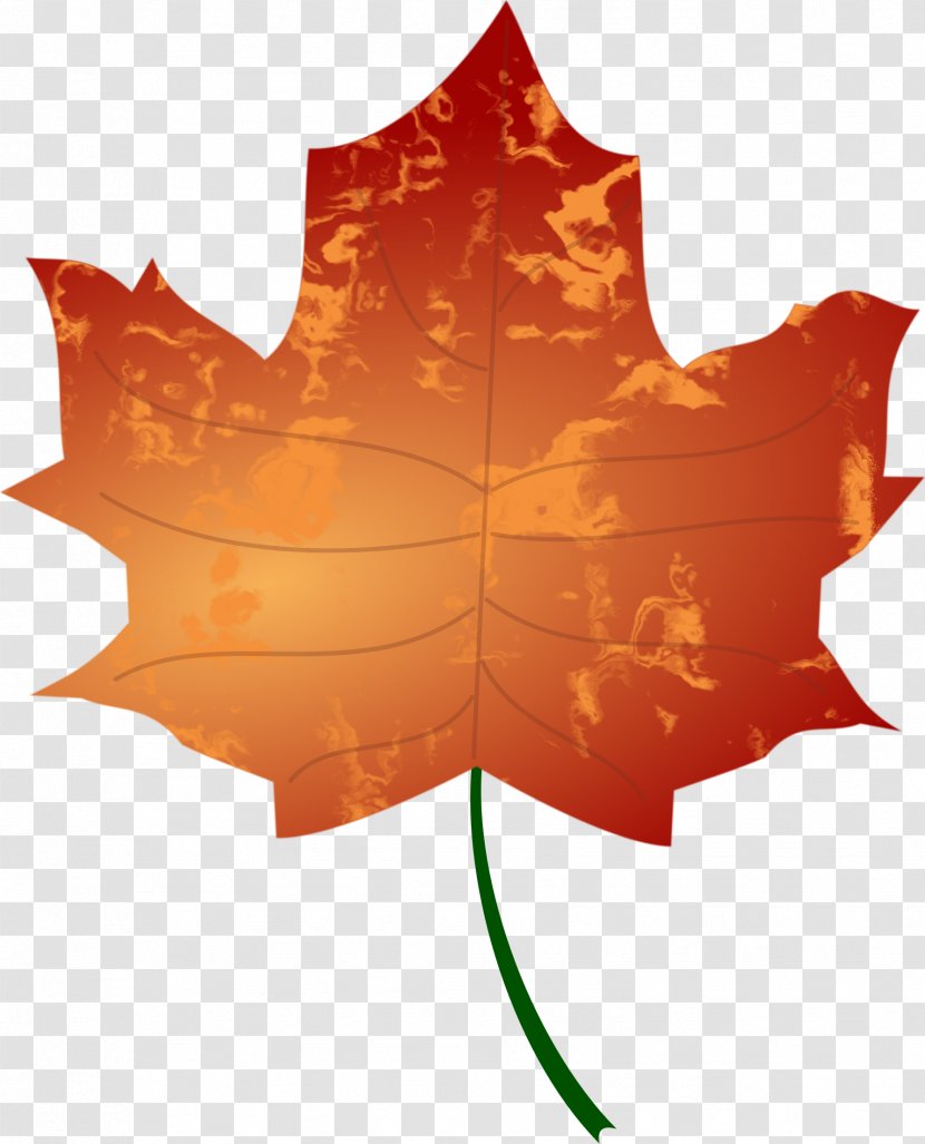 Autumn Leaf Color Clip Art - Public Domain - Leaves Transparent PNG