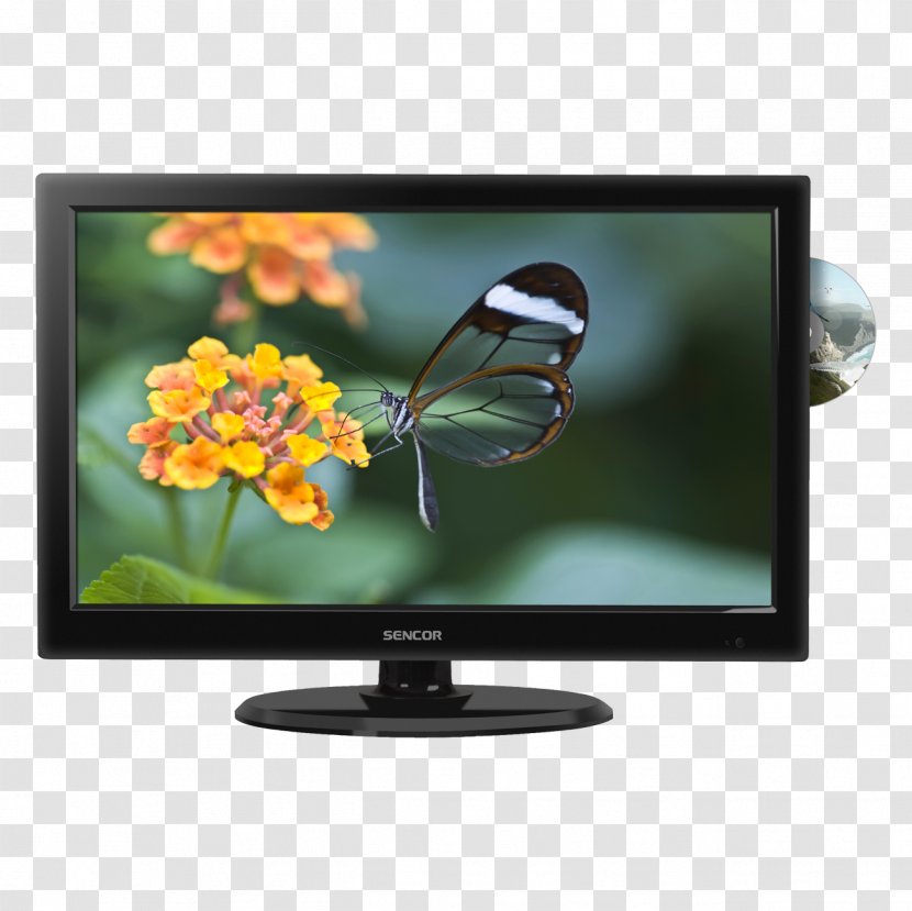Television Set LED-backlit LCD Sencor Electronics - Monitor - Pollinator Transparent PNG