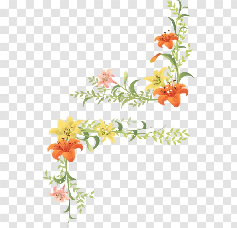 Flower Vecteur Curb Clip Art - Flora - Hand-painted Lily Pictures Transparent PNG