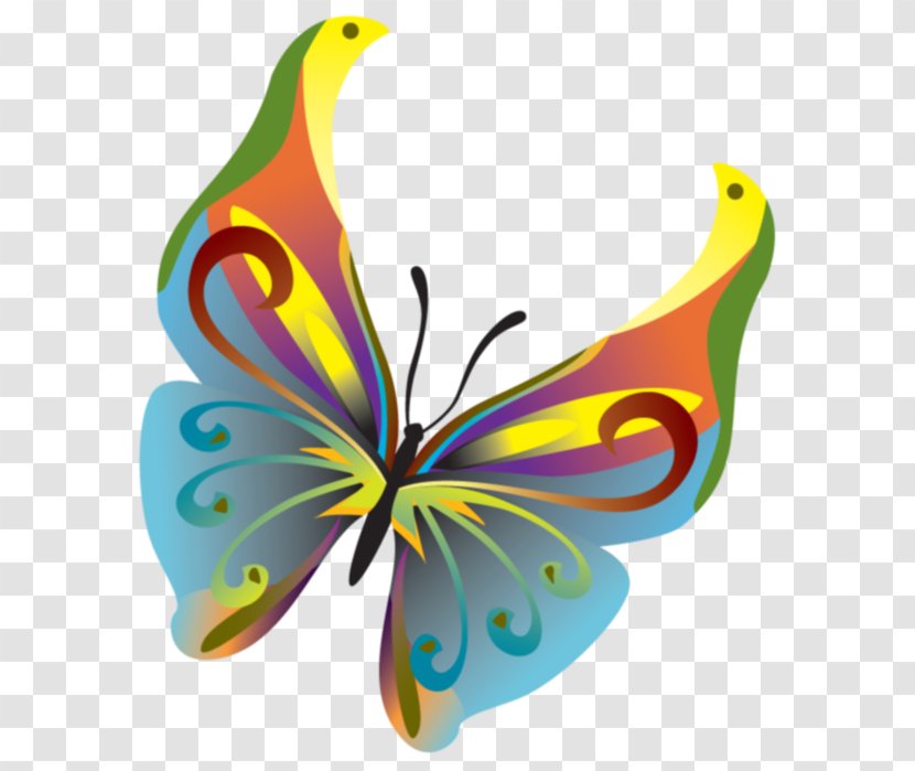 Butterfly Clip Art - Illustrator Transparent PNG