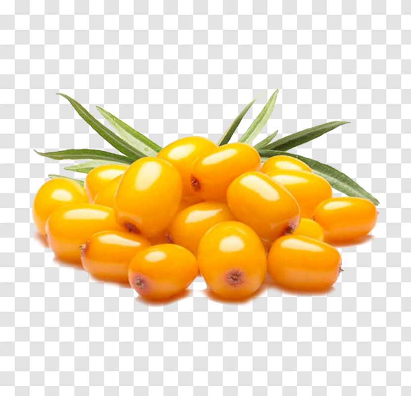 Orange - Fruit - Vegetarian Food Hippophae Transparent PNG