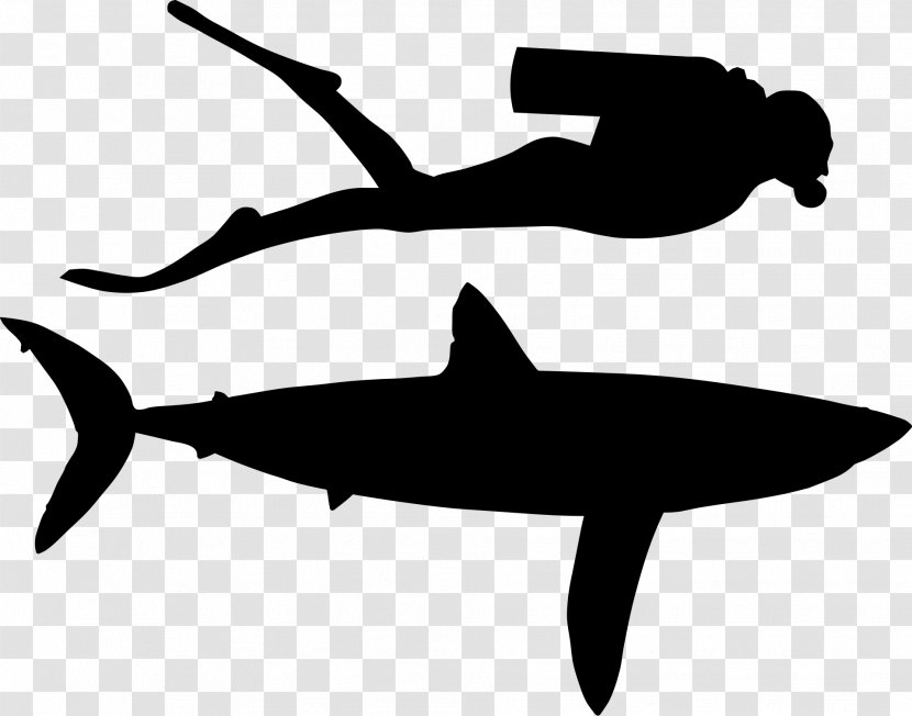 Shark Clip Art Fauna Line Silhouette - Fin - Bull Transparent PNG