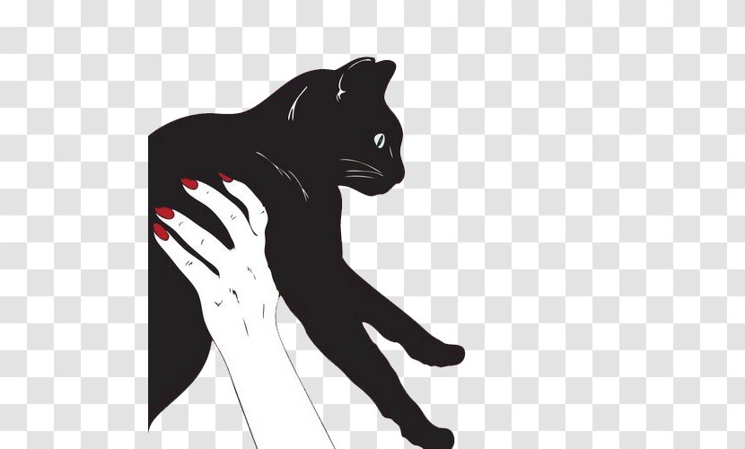 Black Cat Meow Behavior - Puma Transparent PNG