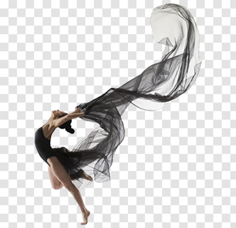 Lois Greenfield: Moving Still 1995 Cal Wall: Breaking Bounds Dance Ballet Photography - Tree Transparent PNG