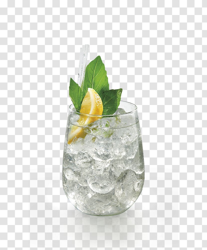 Gin And Tonic Rebujito Cocktail Garnish Vodka Water - Non Alcoholic Beverage Transparent PNG