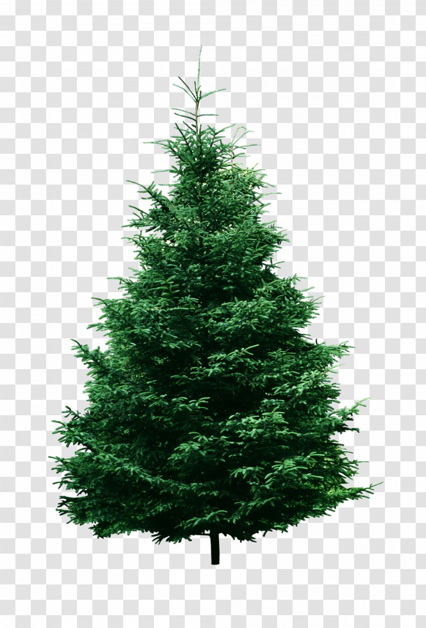 Artificial Christmas Tree Pine - Spruce Transparent PNG