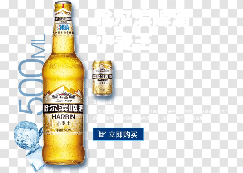 Beer Bottle Harbin Brewery Lager Transparent PNG