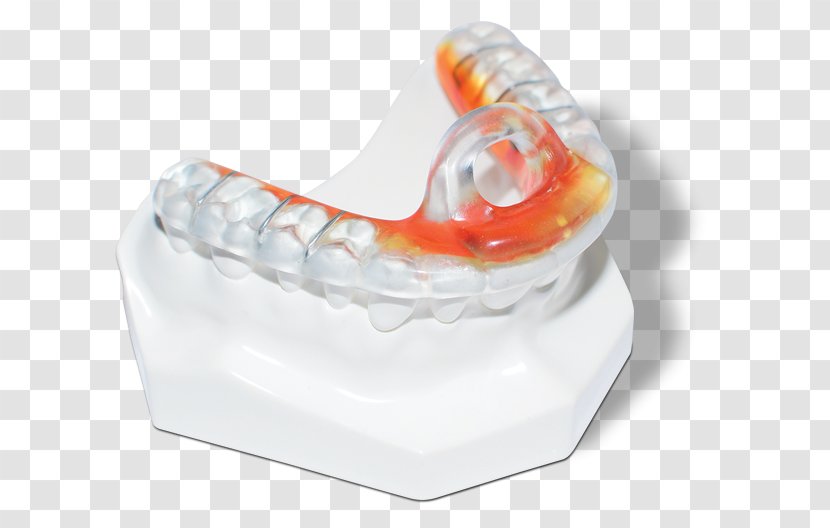 Mandible Bite Registration Tooth Temporomandibular Joint - Dentist - Supine Position Transparent PNG