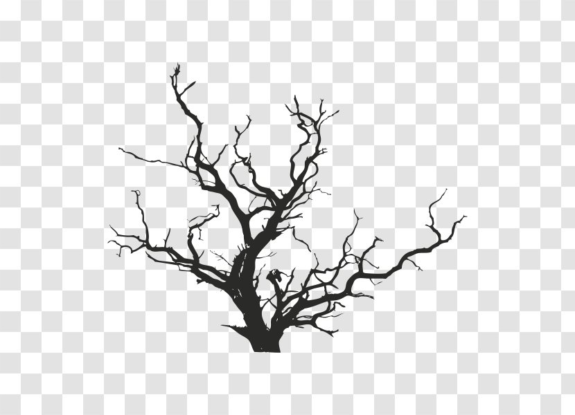 Tree Lindenfeld YouTube Spotify - Monochrome Transparent PNG
