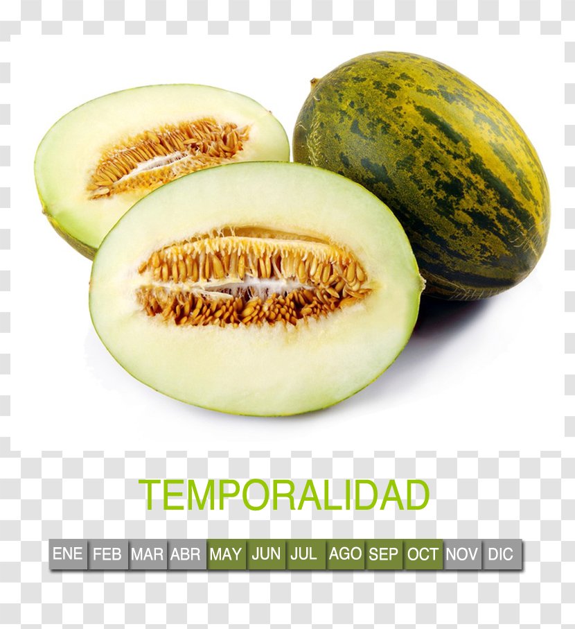 Santa Claus Melon Honeydew Cantaloupe Food - Galia - Gourd Fruit Transparent PNG