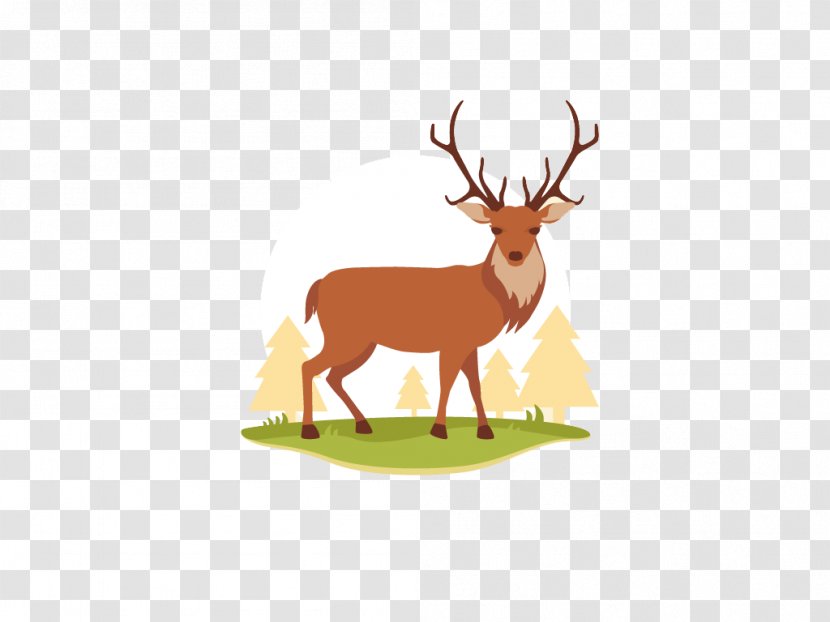 Reindeer Logo Icon - Solunar Theory - Flat Cartoon Transparent PNG