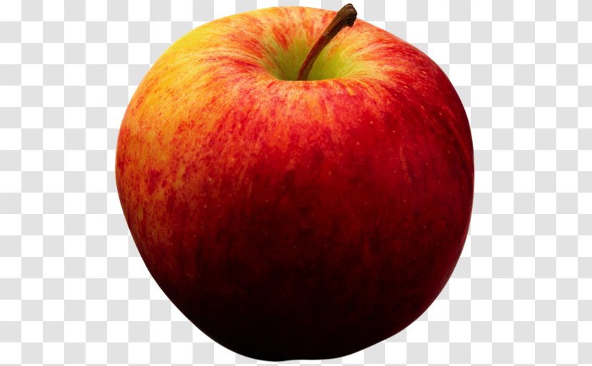 Apple Juice Crumble An A Day Keeps The Doctor Away Fruit - Mcintosh - Candied Nurseries Transparent PNG