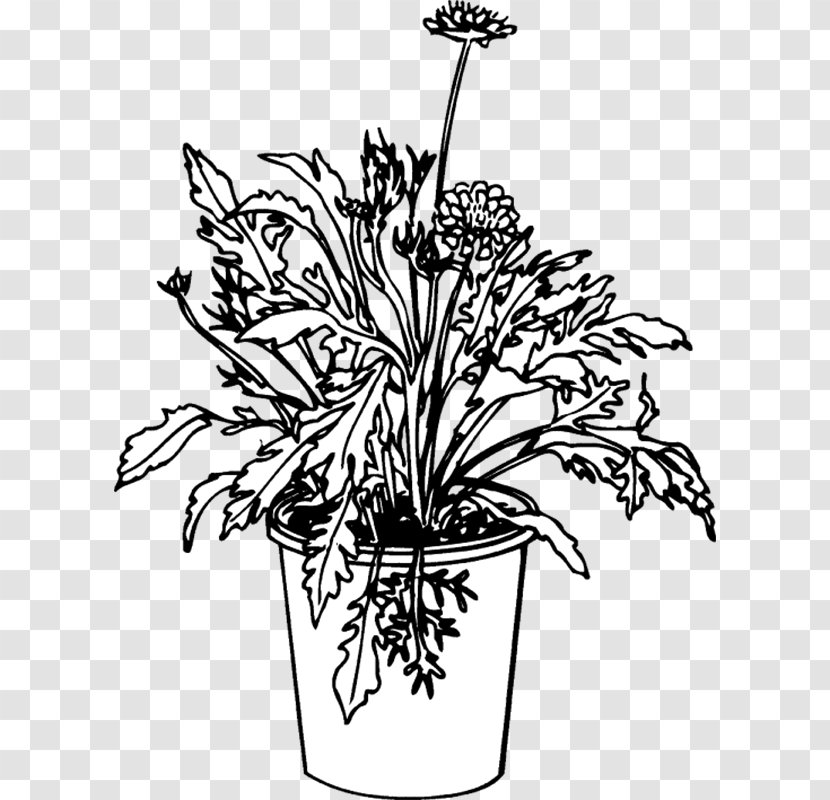 Floral Design Cut Flowers Flowerpot Plant Stem - Drawing - Leaf Transparent PNG