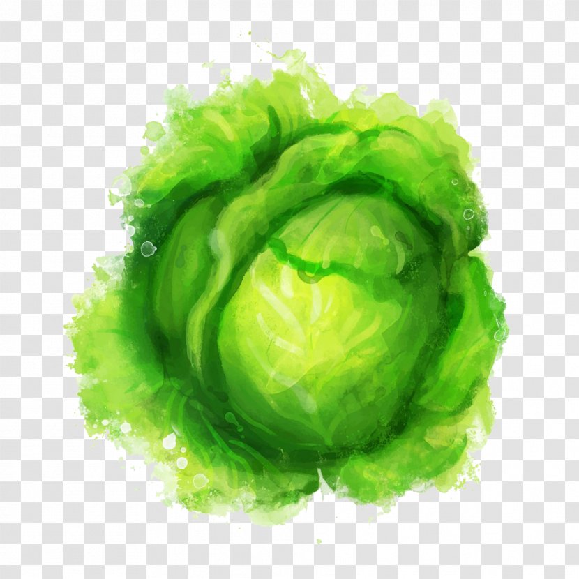 Watercolor Painting Green Inkstick Illustration - Food - Vegetables Transparent PNG