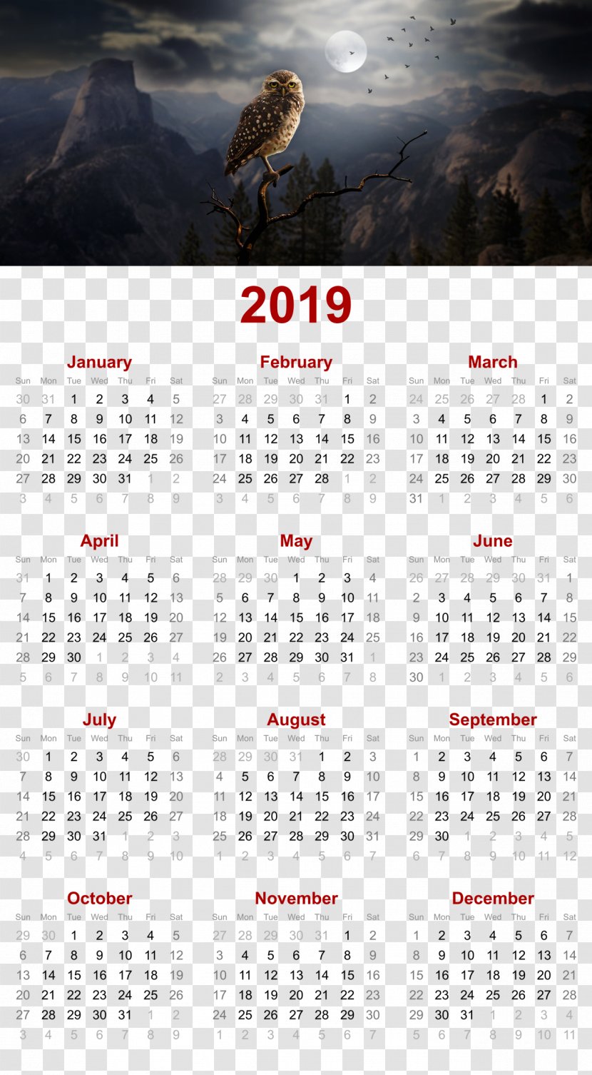 2019 Printable Calendar - Template - Owl In Night Design.Others Transparent PNG