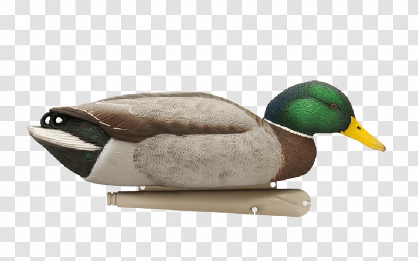 Mallard Duck Decoy Avian-X - Ducks Geese And Swans - Silhouette Decoys Transparent PNG
