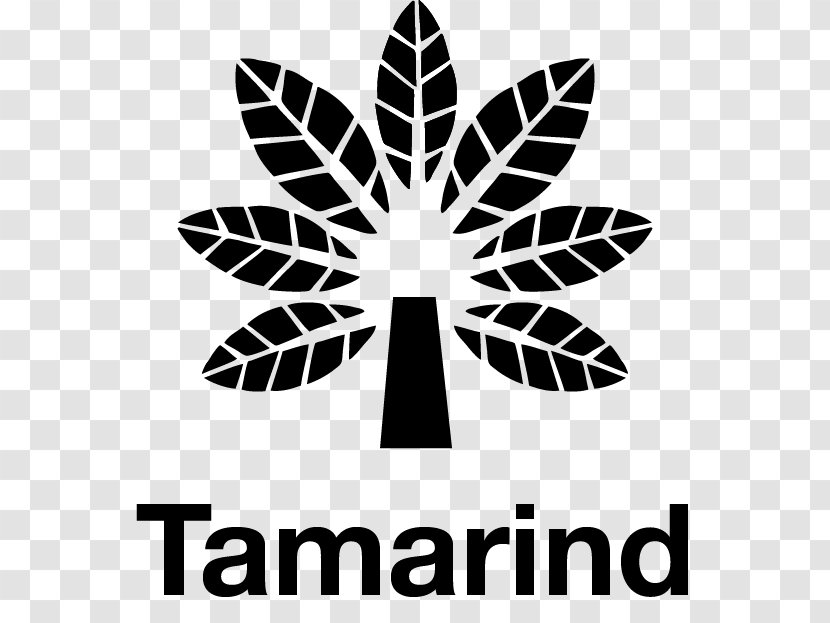 Tamarind Books Publishing Key Lime Pie Culture Transparent PNG