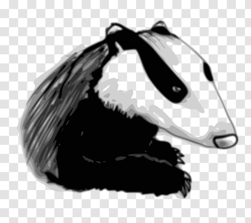 European Badger Honey Drawing Clip Art - Mammal - Otter Transparent PNG